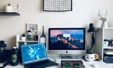 天涯创业论坛神贴的奇妙之旅