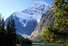 天涯小说神贴：那些年我们疯狂收藏的帖子！